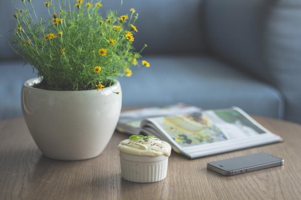 Indoor Plant Pot